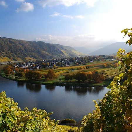 York Cottage Traben-Trarbach Zewnętrze zdjęcie